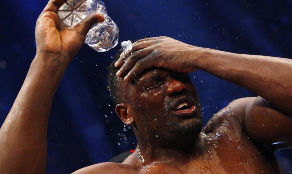 Vitalijus Klyčko ir Dereckas Chisora