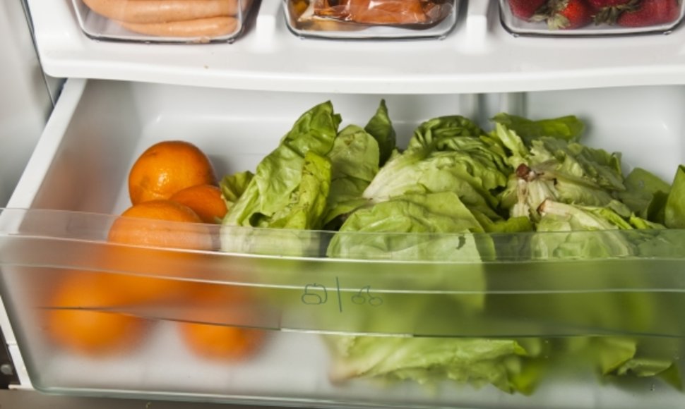 Šaldytuve skirtingų kategorijų produktai turėtų būti laikomi atskirai, nepamirškite rūpintis ir paties buitinio prietaiso švara.