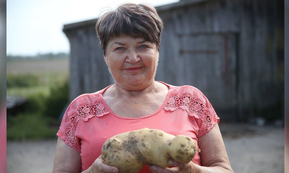 Ąžuolaičių kaime gyvenanti Janina savo darže užaugino 1,450 kg sveriančią bulvę.