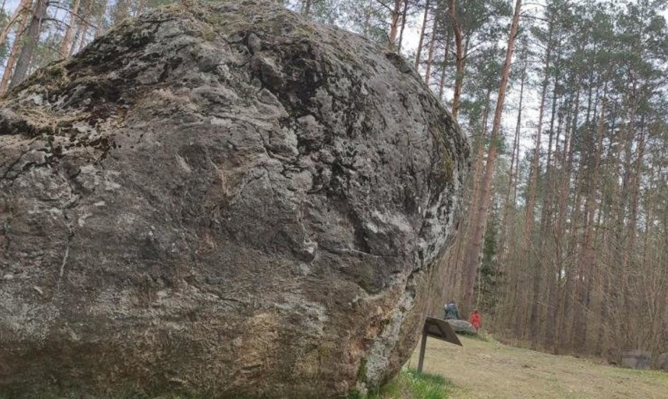 Didysis Dzūkijos akmuo