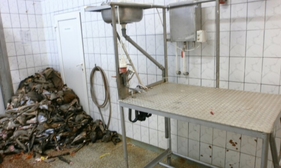 Nuo spalio 31 d. įmonei UAB „Viltlit“ nurodyta sustabdyti savo veikląjpg