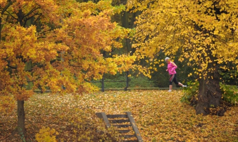 Moteris bėgioja Berlyno Tiergarteno parke 