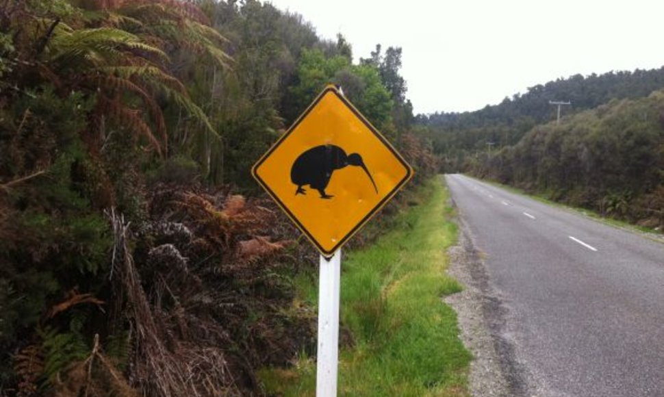 Naujosios Zelandijos keliai
