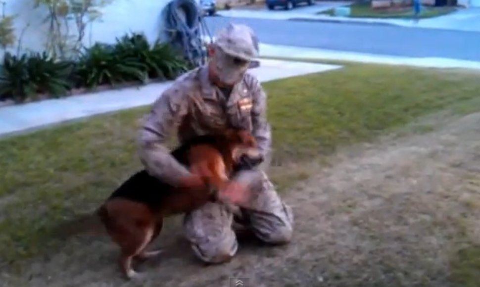 Jaudinanti akimirka: šuo pasitinka savo šeimininką, grįžusį iš Afganistano.