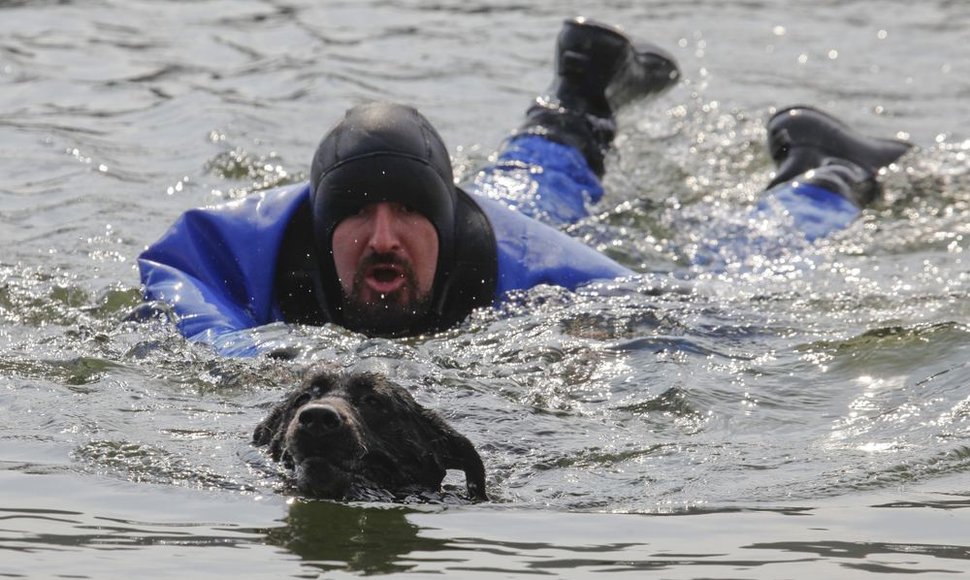 Asociatyvinė nuotr.: Šuo vandenyje