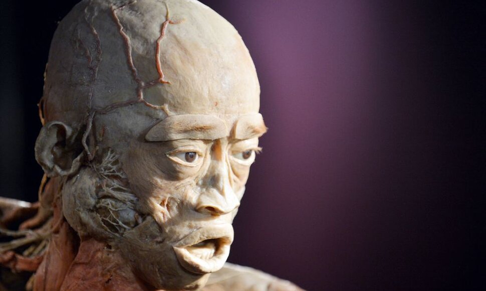 „The Human Body“ eksponatas