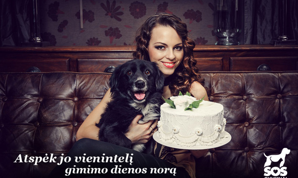 „SOS gyvūnai“ gimtadienio plakatas su Evelina Anusauskaite