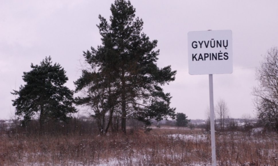 Gyvūnų kapinės