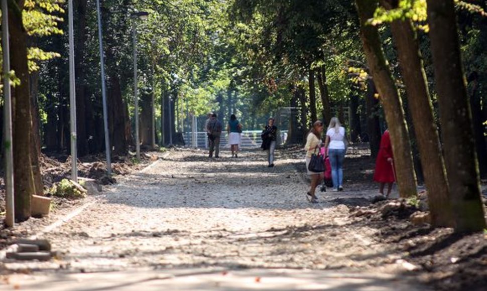  Iki Stumbro skulptūros jau galima prieiti , toliau kelią pastoja tranšėjos.