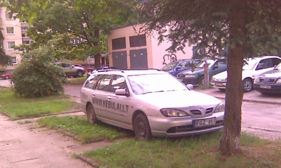 „Nissan Primera“ ant pievutės