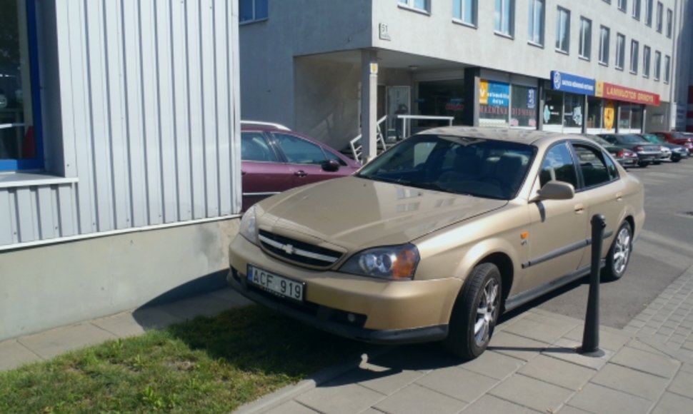 „Chevrolet Evanda“, pastatytas ant žolytės