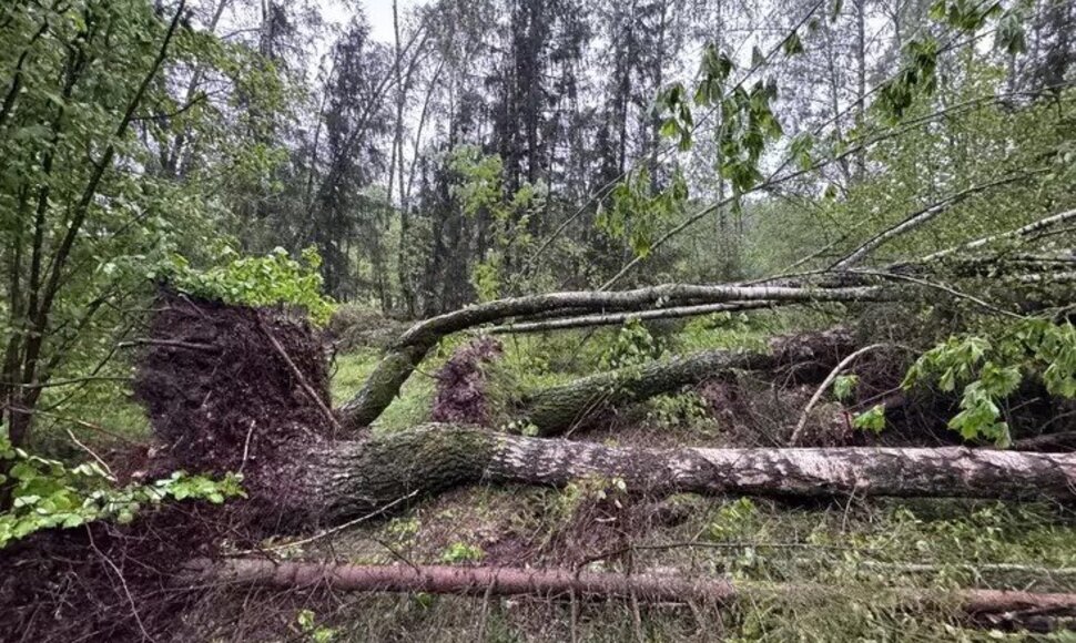 Audra Baltarusijoje: kru&scaron;a ir viesulas
