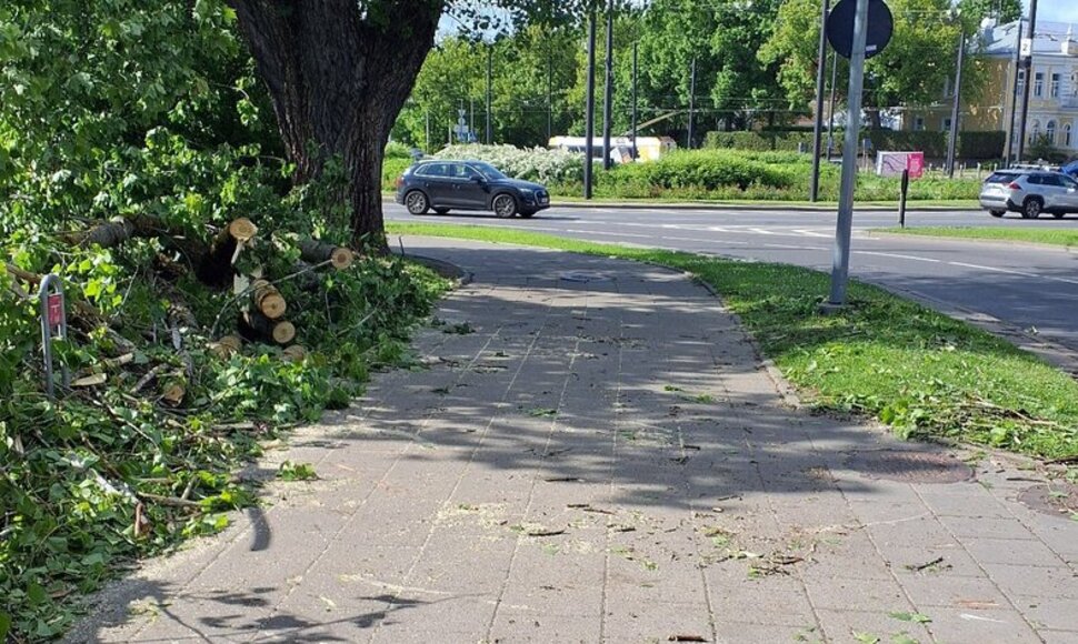 Vėjas laužė medžius Vilniuje