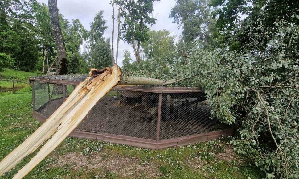 Audros nuniokotas Taujėnų dvaro parkas