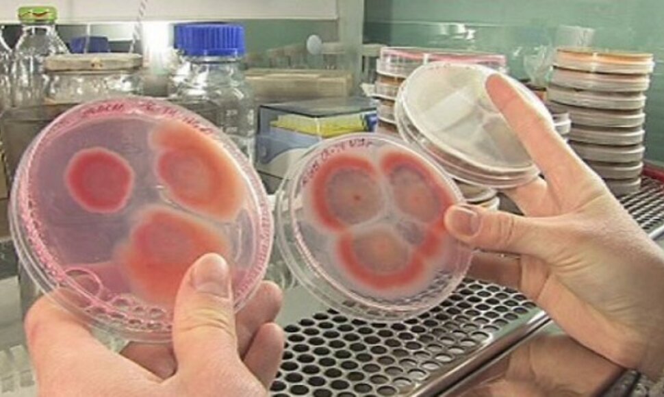 Naudojant biojutiklius, galima greitai ir patikimai įvertinti, ar jautienoje yra arklienos, o gal net žiurkienos, nustatyti įvairiomis pavojingomis bakterijomis užkrėstus maisto produktus. 