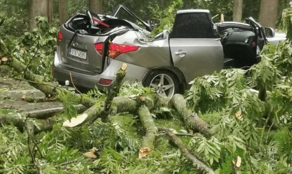 Akademijoje suniokotas automobilis