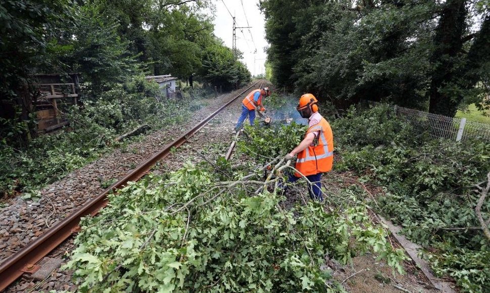 Vėjas vertė medžius ant geležinkelio bėgių, taip sutrikdymas traukinių eismą Prancūzijoje.