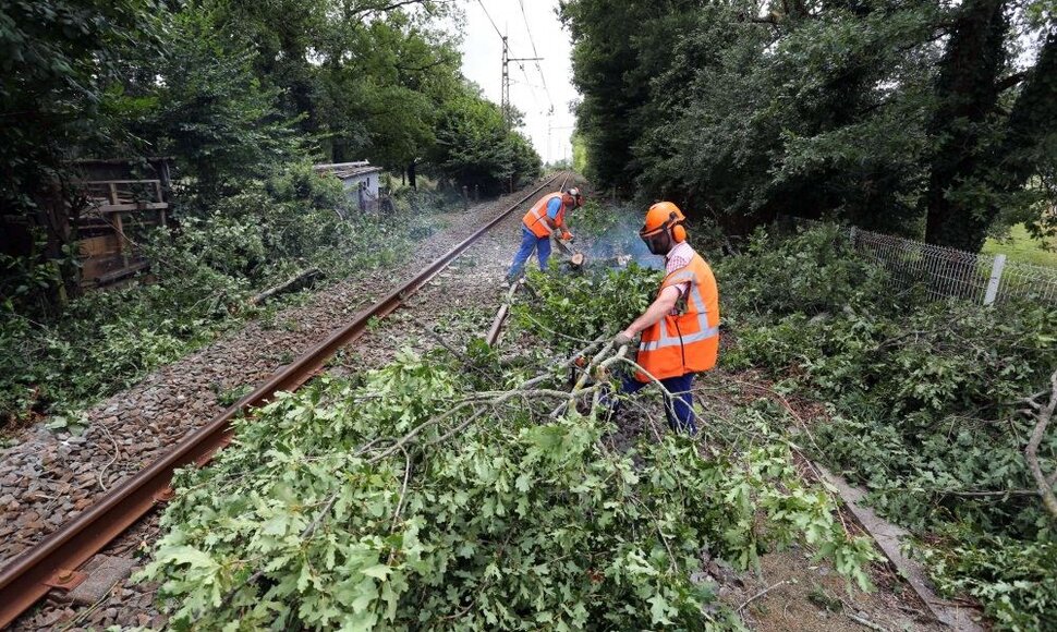 Vėjas vertė medžius ant geležinkelio bėgių, taip sutrikdymas traukinių eismą Prancūzijoje.
