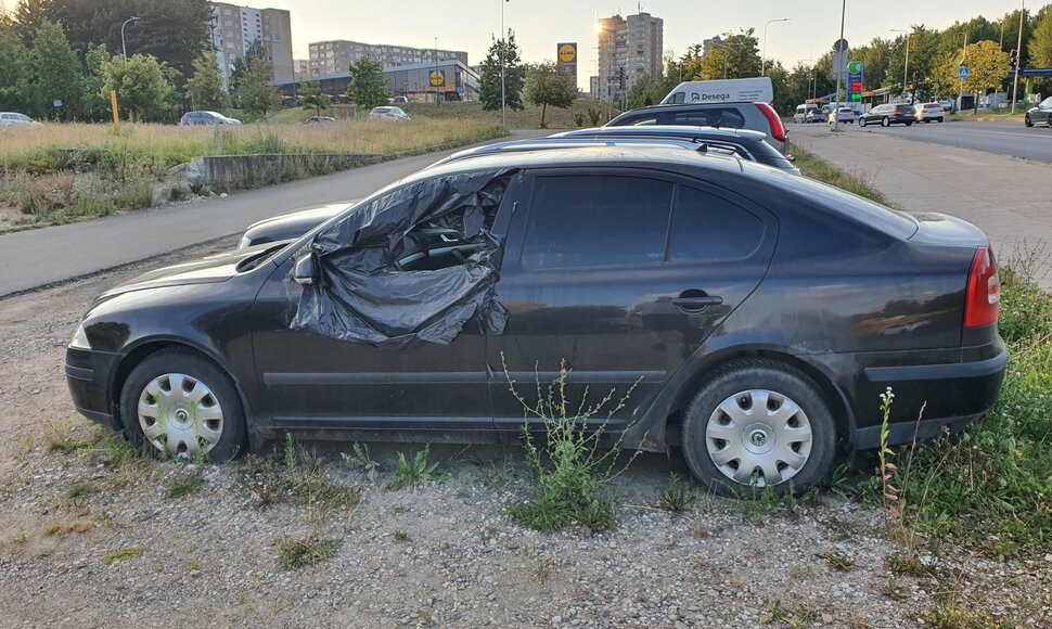 Apleisti automobiliai Fabijoni&scaron;kėse