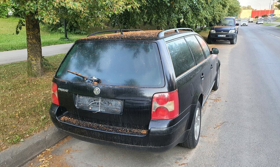Apleisti automobiliai Fabijoni&scaron;kėse
