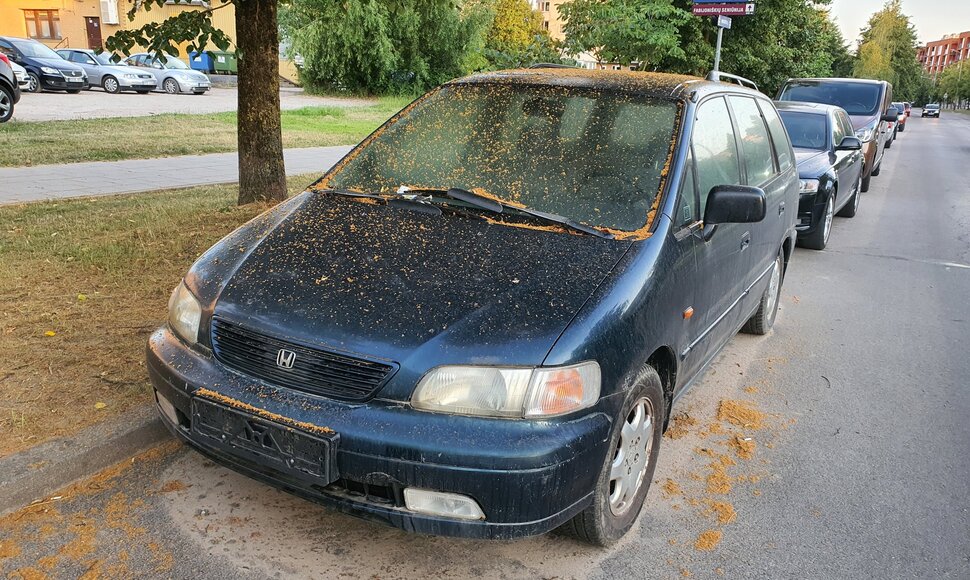 Apleisti automobiliai Fabijoni&scaron;kėse