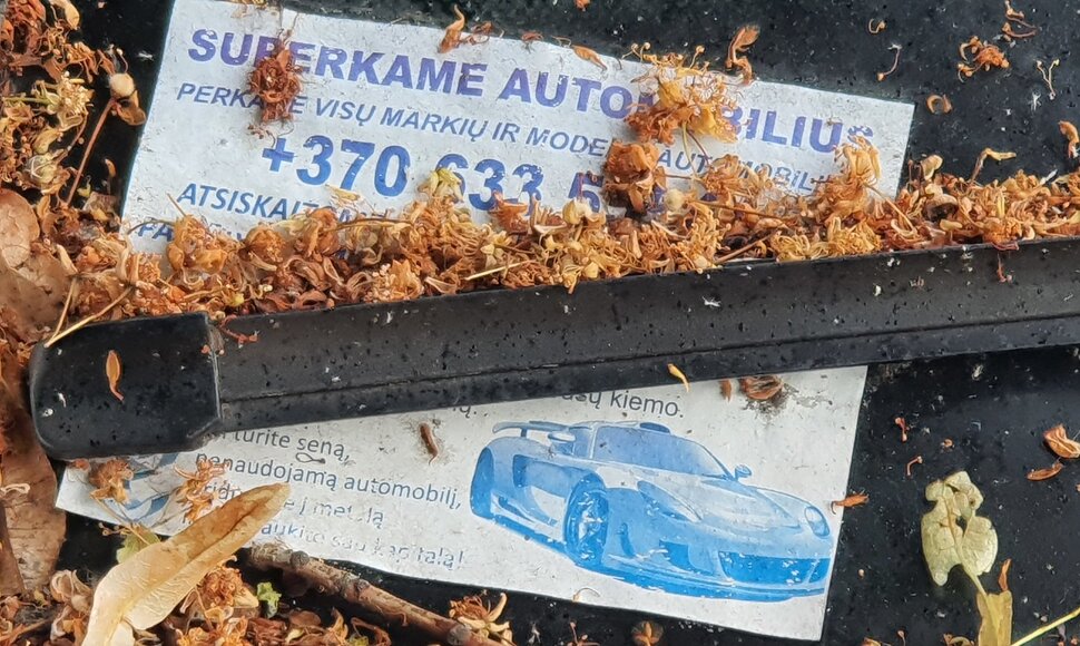 Apleisti automobiliai Fabijoni&scaron;kėse