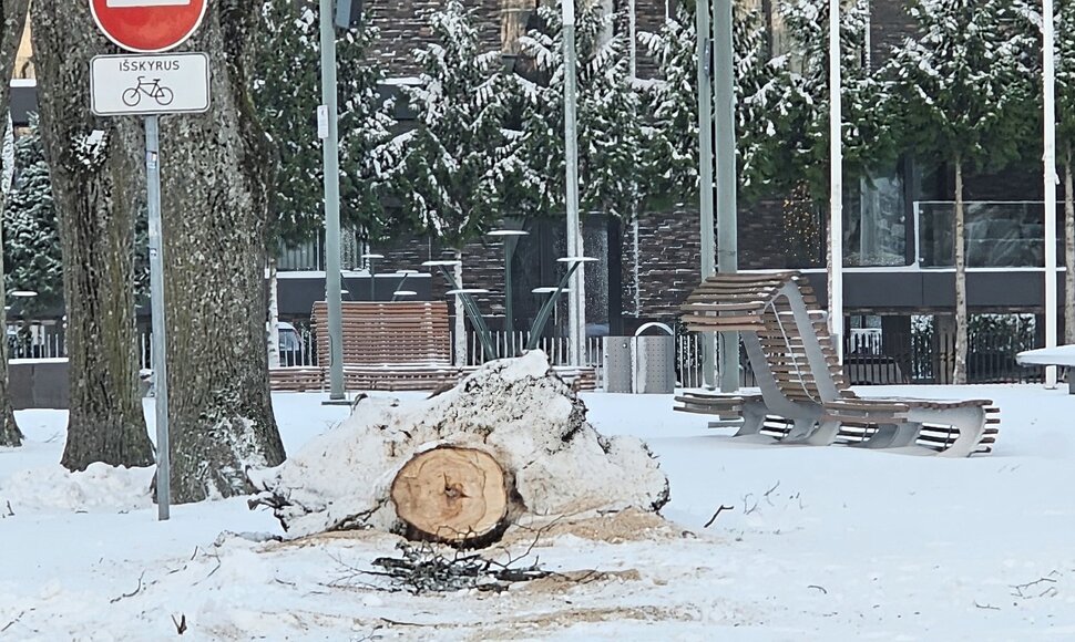 Palanga po audros, sausio 4-osios rytas