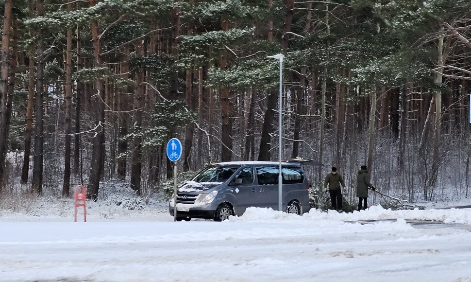 Palanga po audros, sausio 4-osios rytas