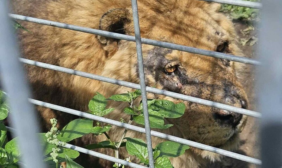 Klaipėdos zoologijos sodą tikrino aplinkosaugininkai