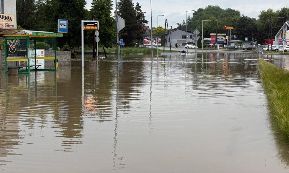 Liūties užpiltas Jast&scaron;embis Zdrujus Lenkijoje
