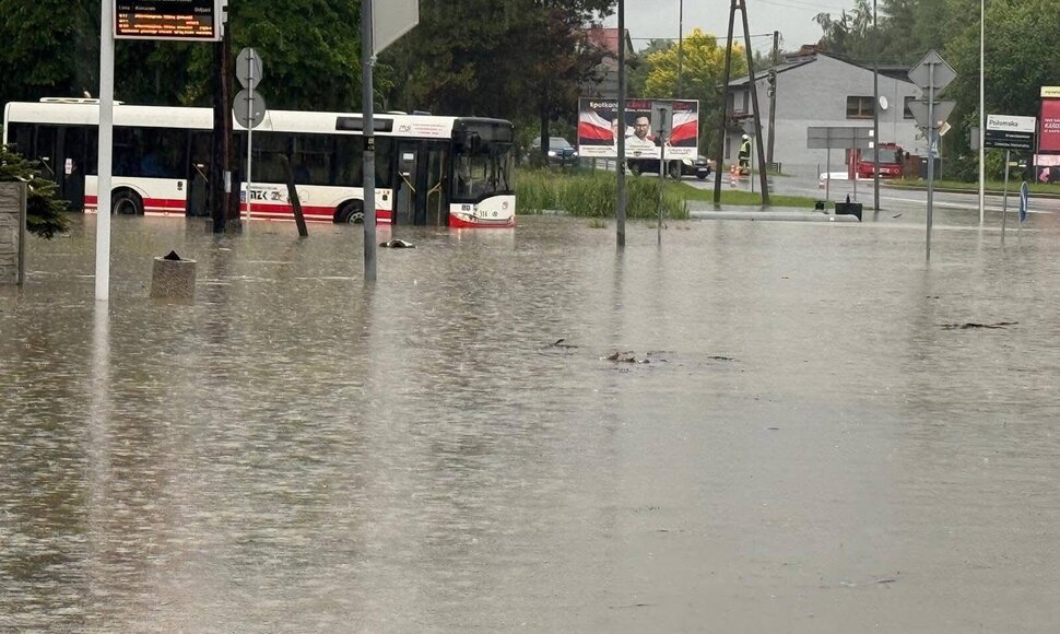 Liūties užpiltas Jast&scaron;embis Zdrujus Lenkijoje