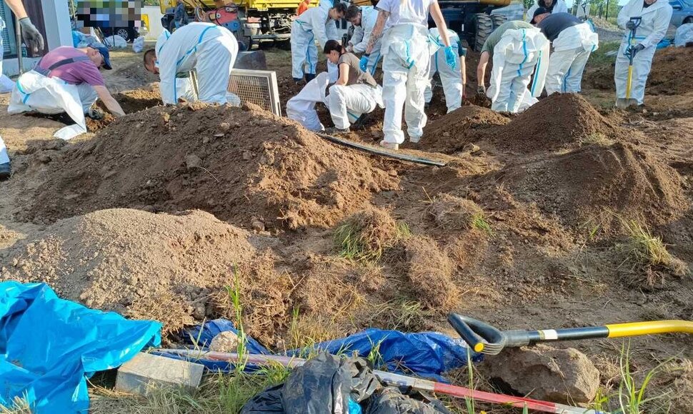Že&scaron;uvo rajone, Lutoryžo kaime aptikti palaidoti negimusių kūdikių palaikai ir medicininės atliekos
