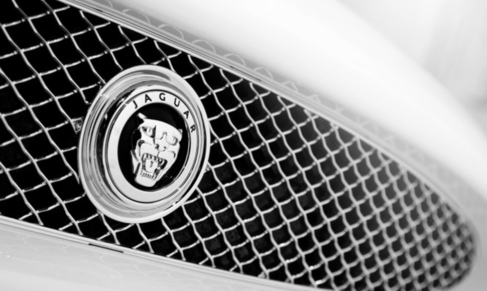 „Jaguar“