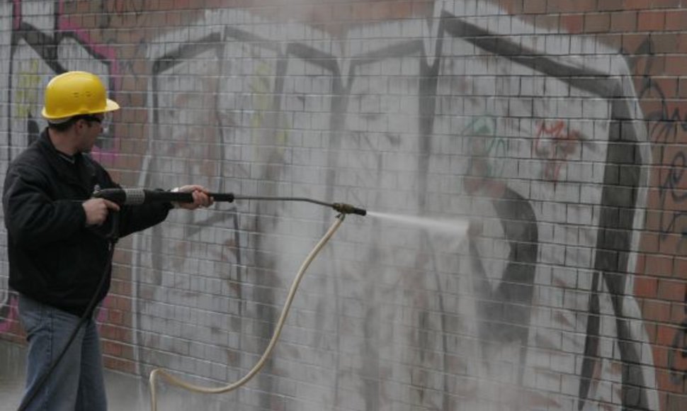 Tepliotojų „kūriniams“ išvalyti prireikia daug pastangų ir lėšų. 