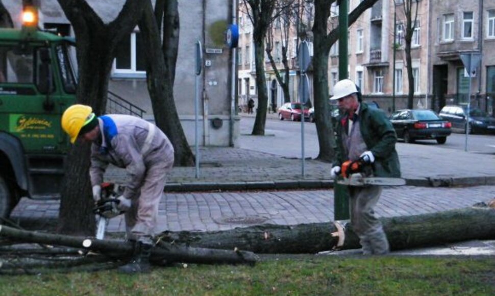 Pirmadienio rytą Klaipėdoje buvo šalinami uragano padariniai.