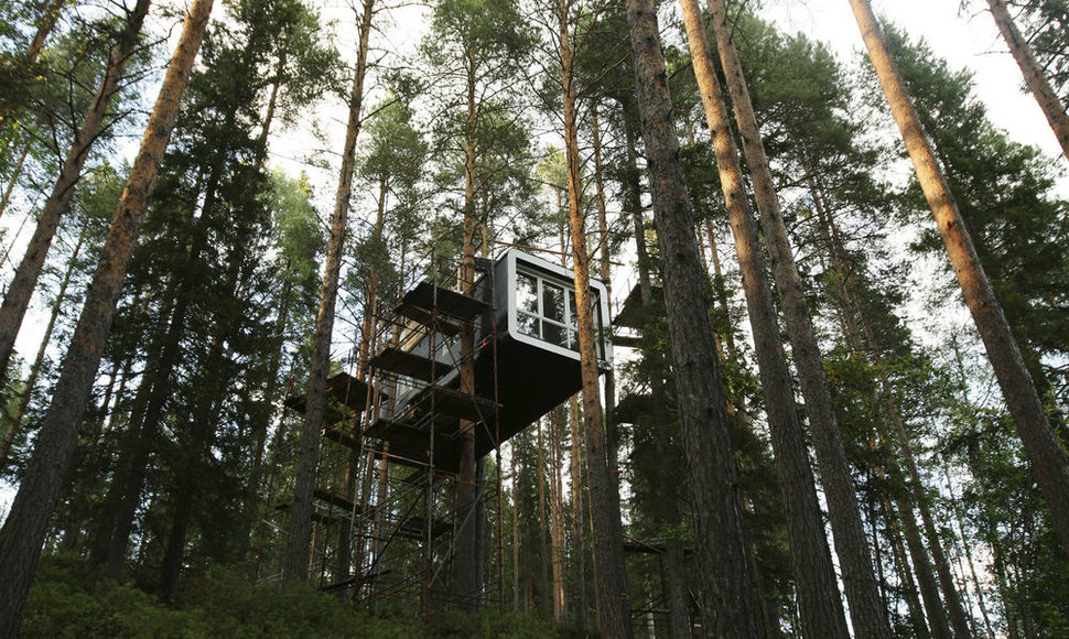 "Treehotel"