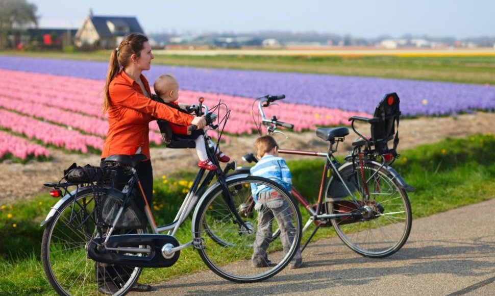 Olandijoje saugu dviračiais keliauti ir su vaikais