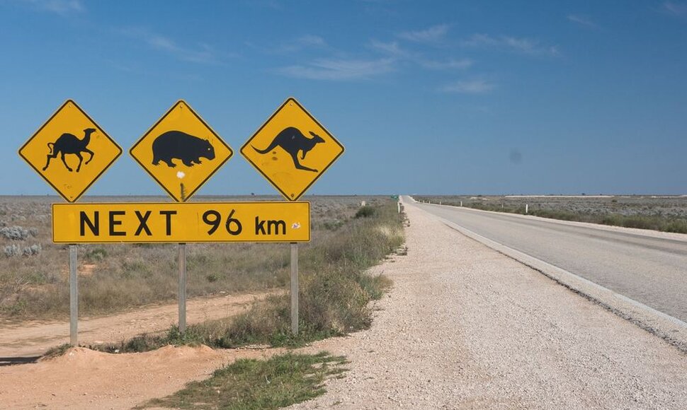 Pietų Australia