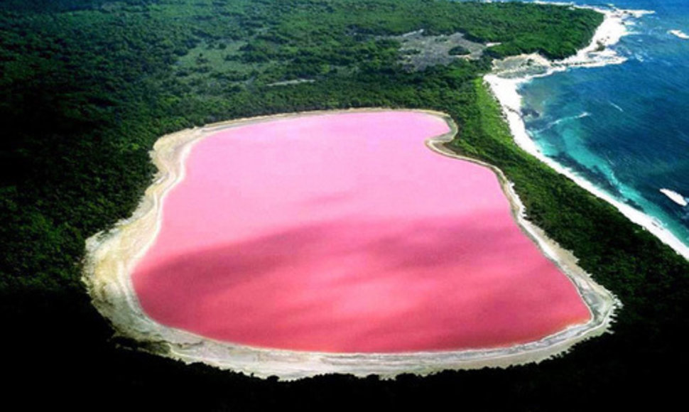 Gamtos išdaigos – rožiniai pasaulio ežerai