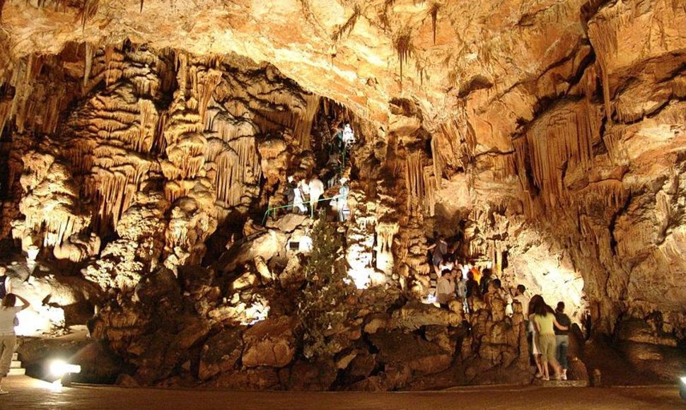 Saevos skylės urve yra vienas didžiausių pasaulio stalaktitų