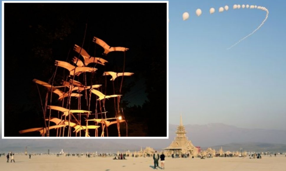 Lietuviai šiemetiniame "Burning man" festivalyje pristatys paukščių projektą