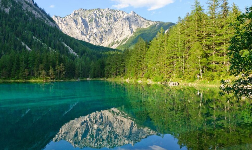 Žaliojo ežero parkas Austrijoje kiekvieną žiemą virsta povandenine karalyste nardytojams