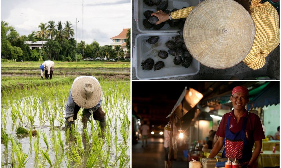 Maisto kultūra Tailande ir Vietname