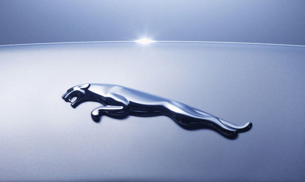„Jaguar“ ženkliukas