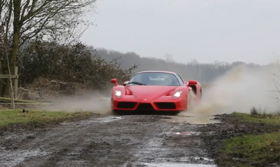 „Ferrari Enzo“ purvo voniose