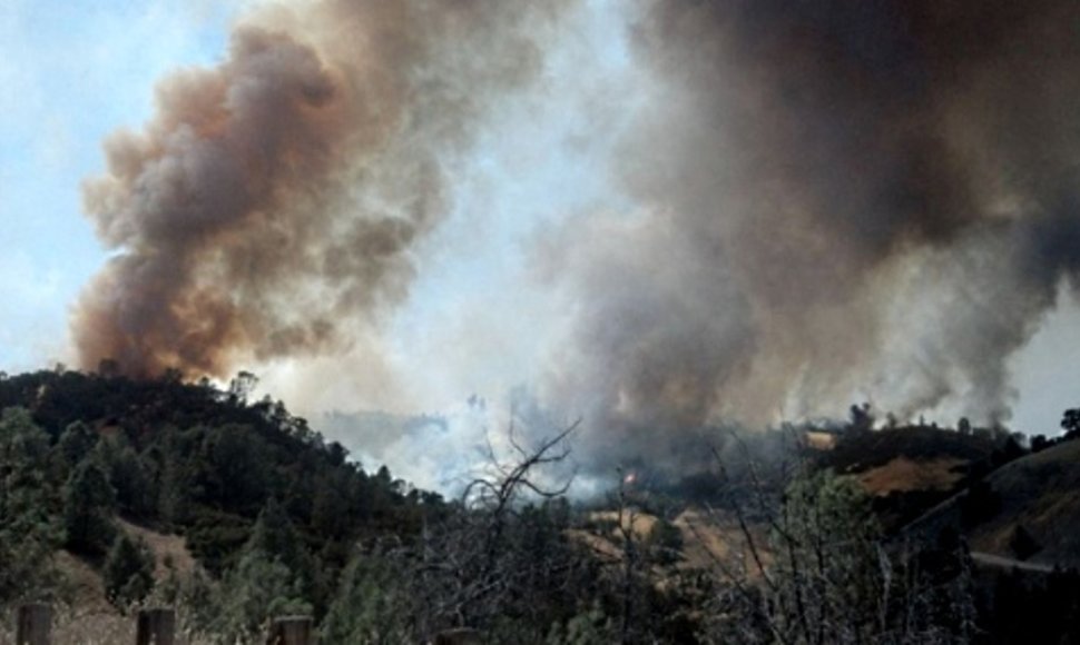 В Аризоне погибли 19 пожарных