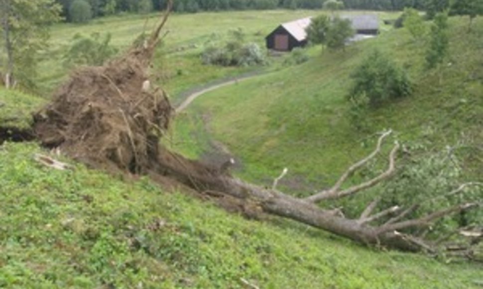 Vėtra nusiaubė Pagramančio regioninį parką