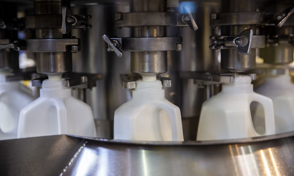 „Pieno žvaigždžių" pieno gamyba