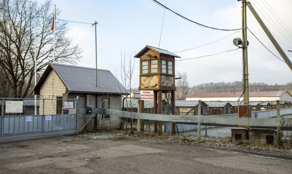 Audinių ūkis