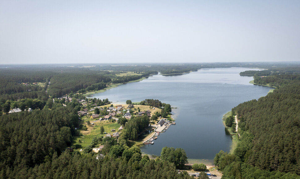 Palūšė
